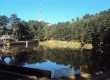 Sacred DAL Lake - Kangra Himachal Pradesh Sacred DAL Lake - Kangra Himachal Pradesh